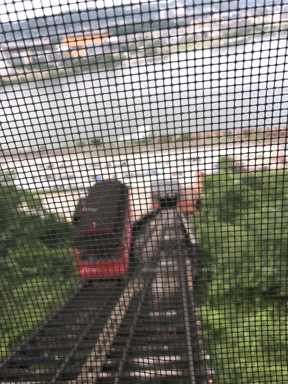 No Person, Web, Pattern, Outdoors, Technology