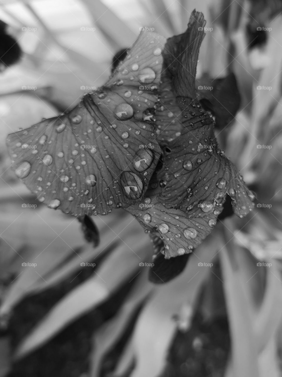 water droplets