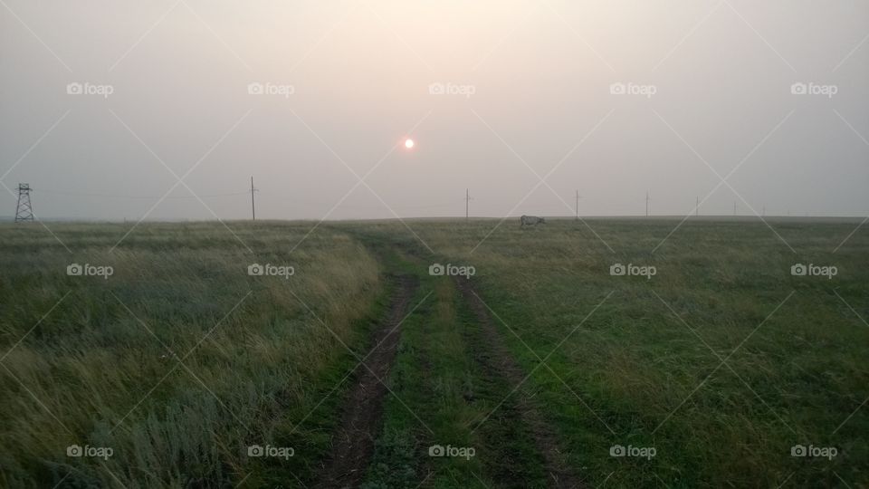 sunset in the field