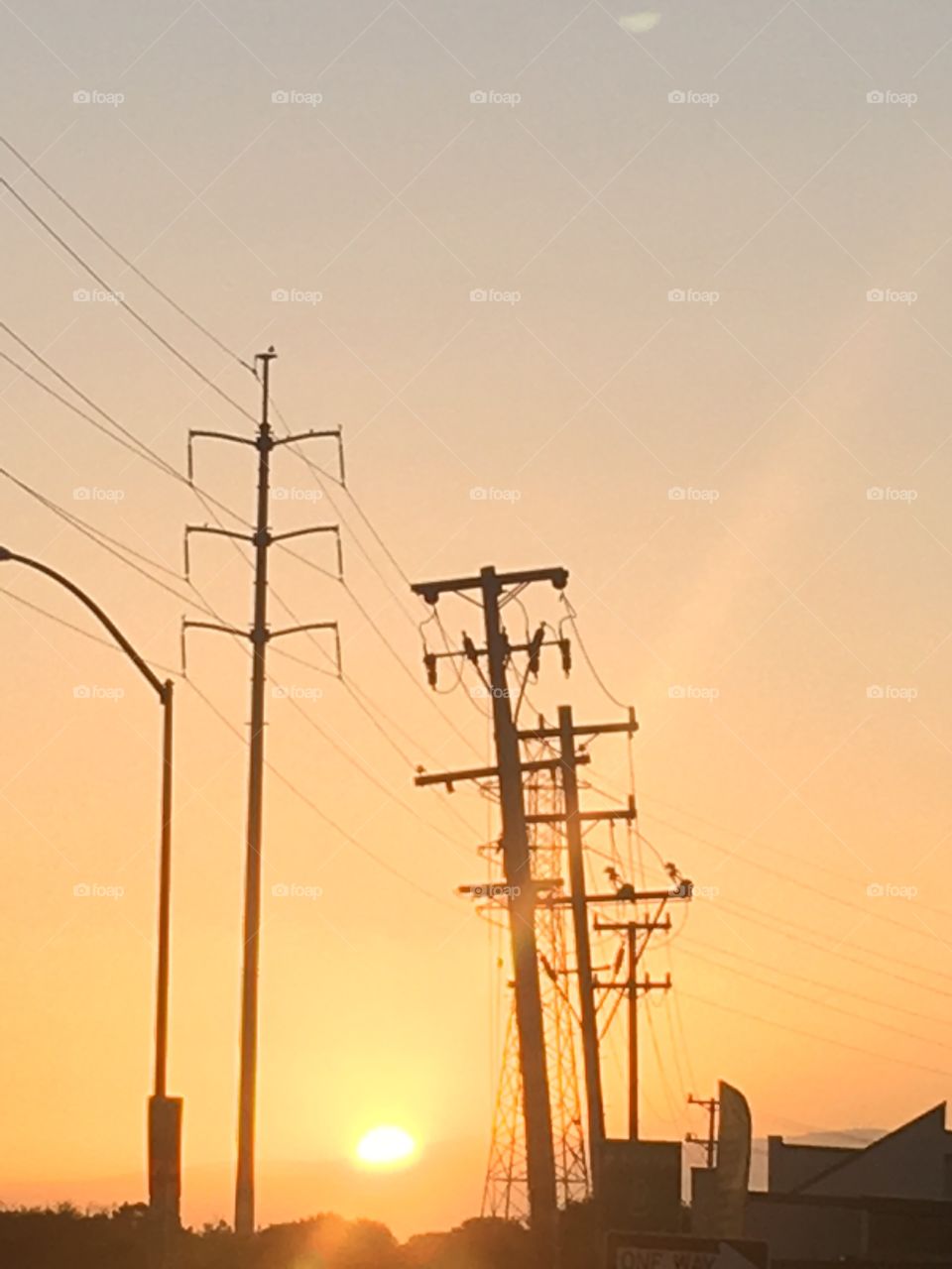 Menlo Morning Sunrises 