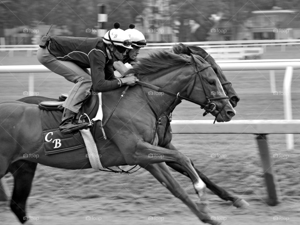 Chad Brown Workouts. A solid pair of Chad Brown runners are working out on the Oklahoma training track at Horse Haven Saratoga. 