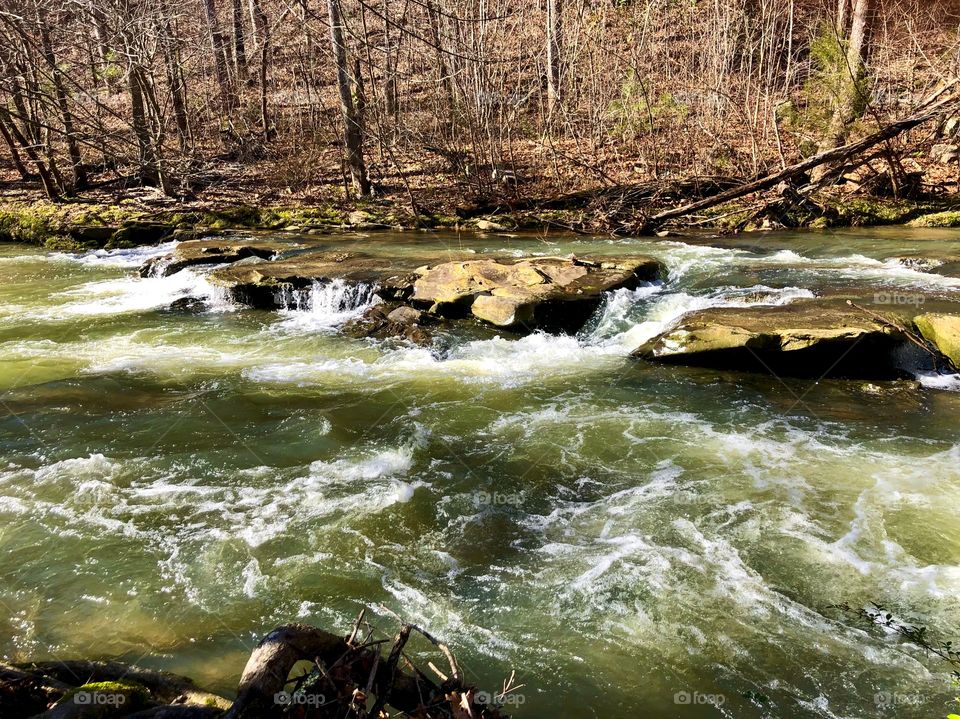 Rapids at Turkey Creek