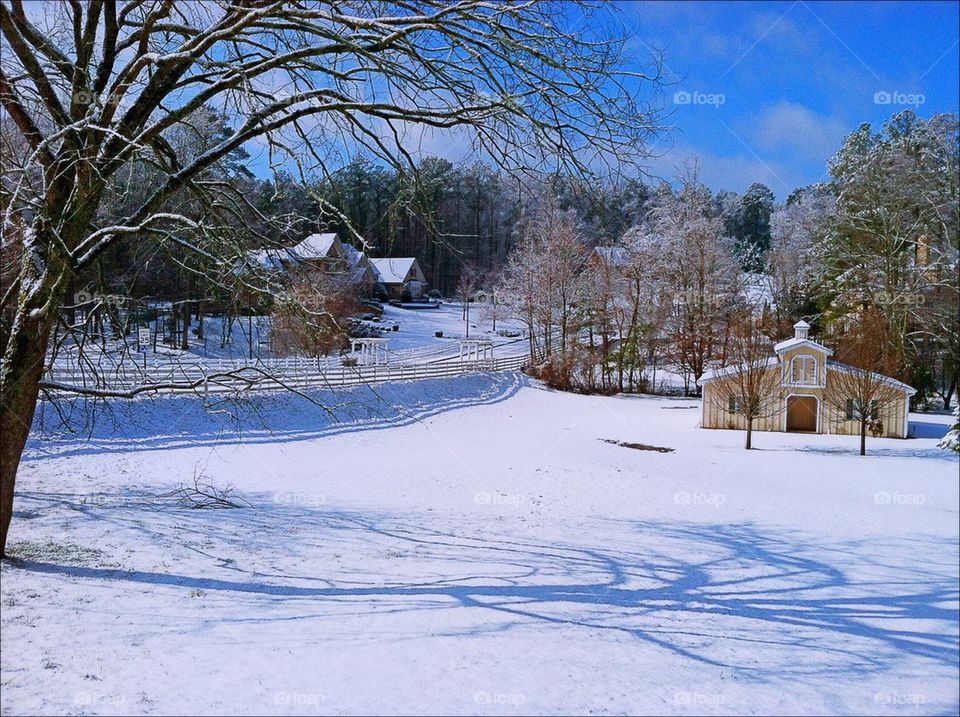 Barn Snow