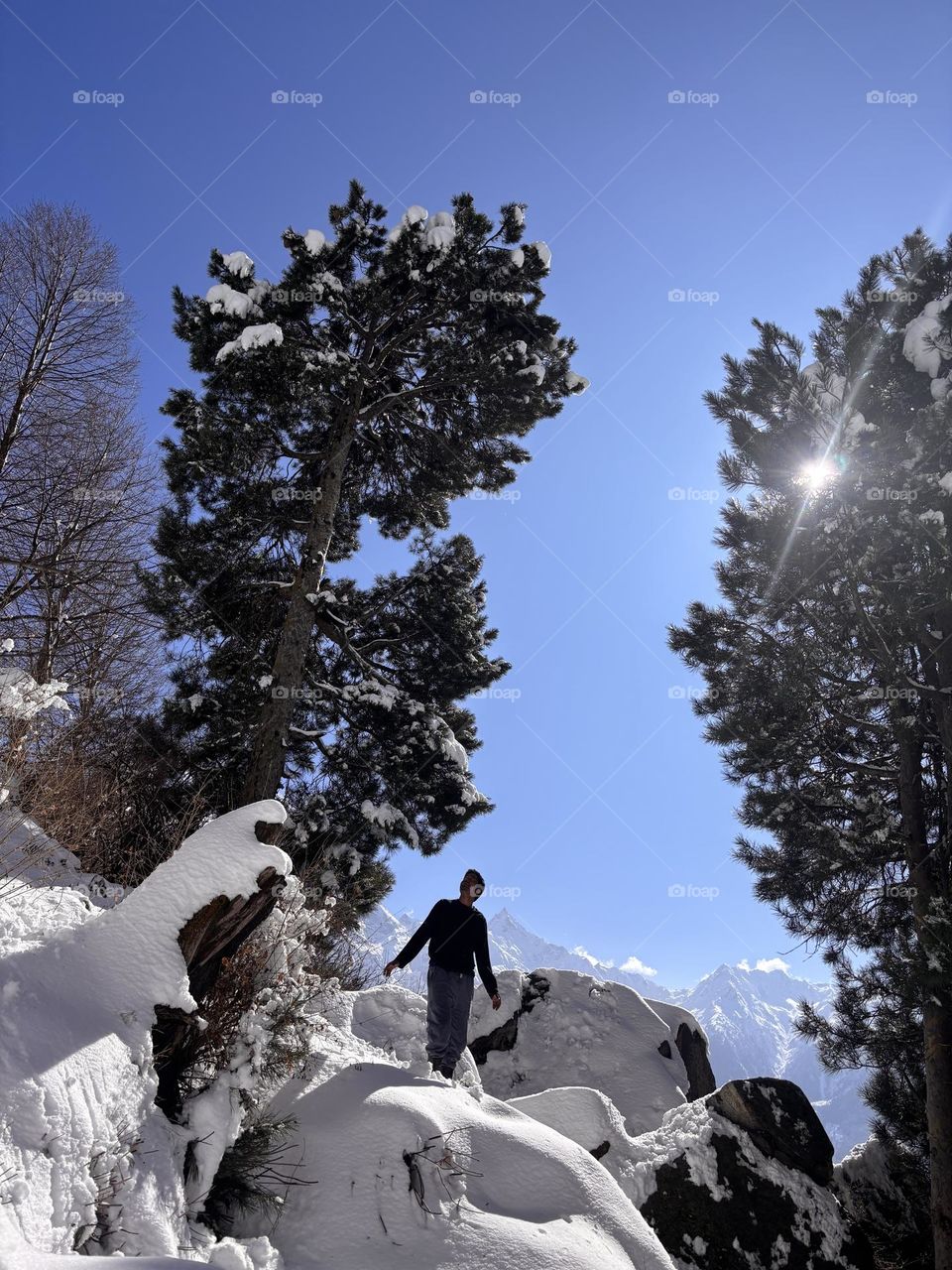 In between the trees 