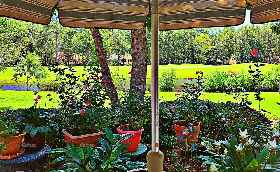 Patio Garden View 