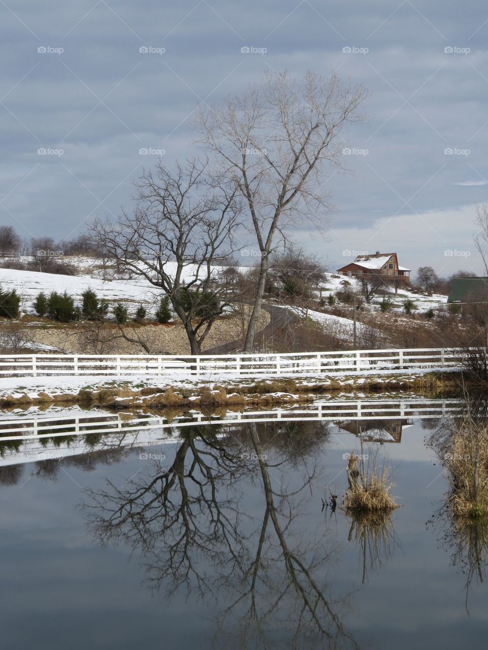 Winter Pond