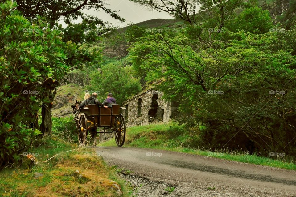 Horse and cart in Gap of Dunlop