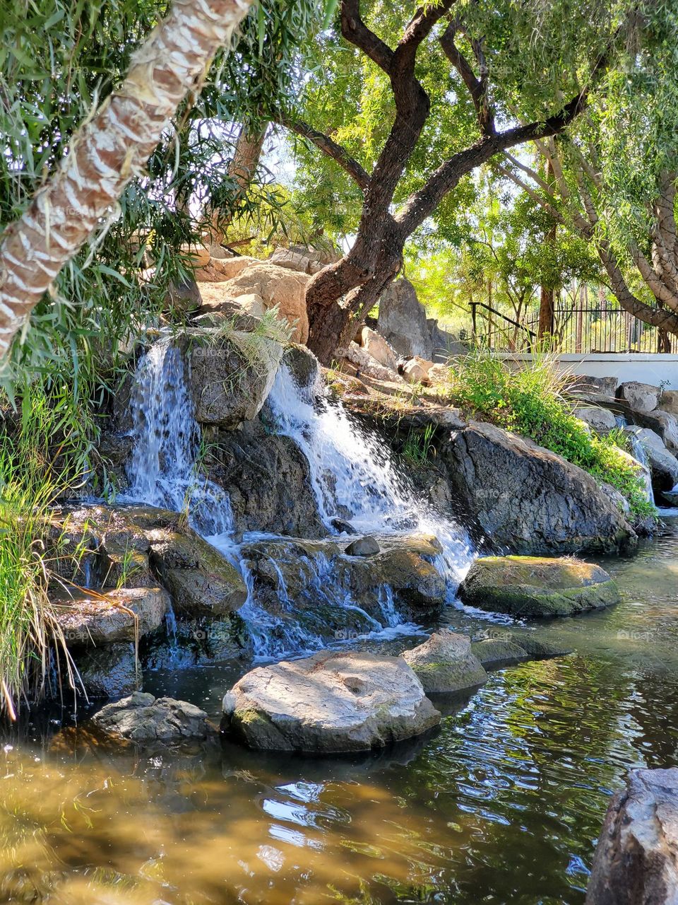 Beauty of a Waterfall