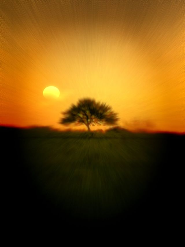 Lone tree