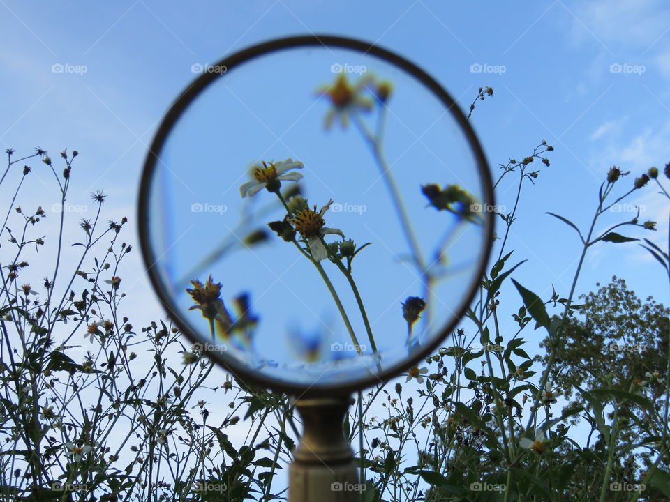 Looking through the magnifying glass