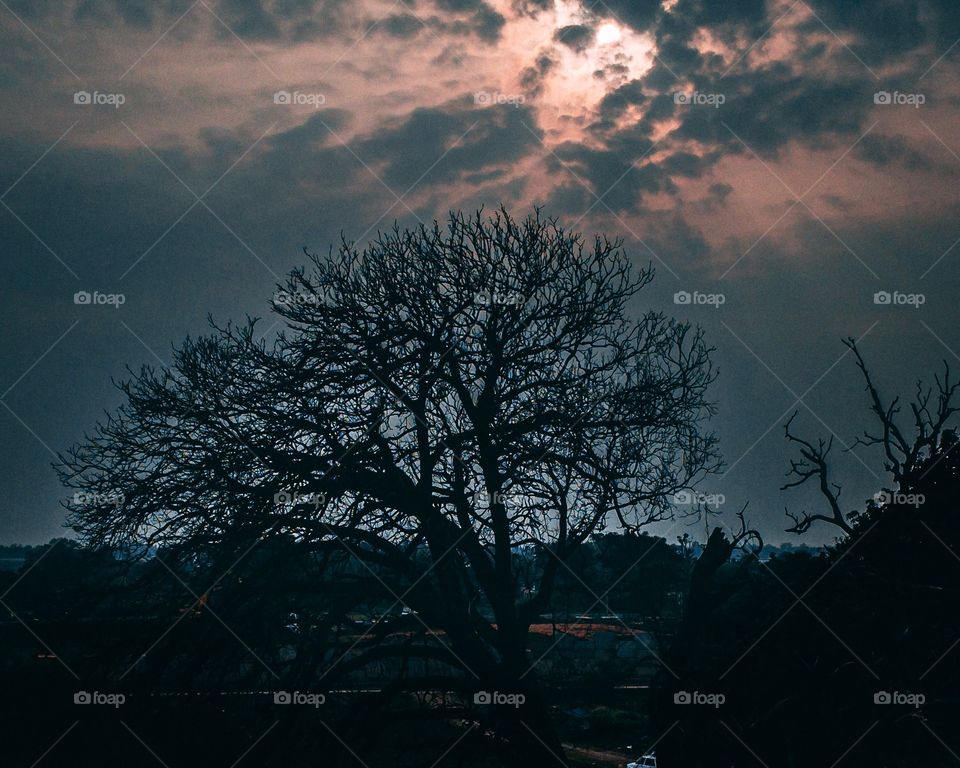 This photo has a tree during sunset and shows that there lies a beauty in darkness.