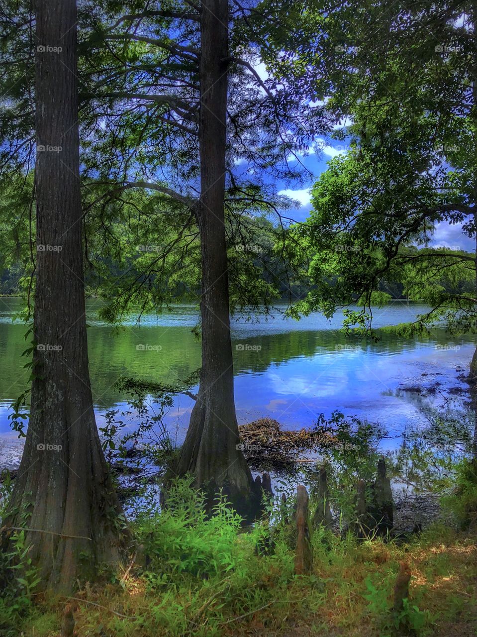 Cypress on the Lake 
