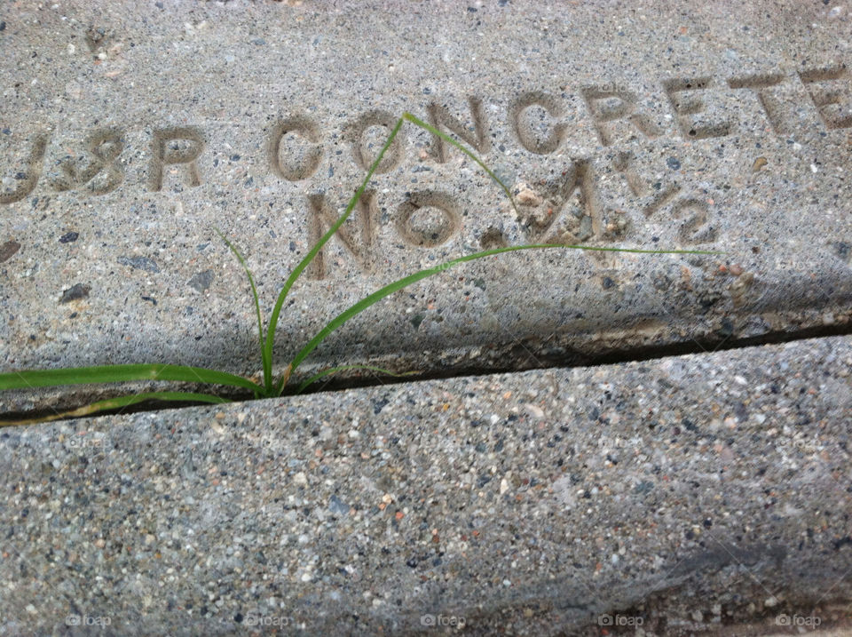 grass concrete united states ventura by kenglund