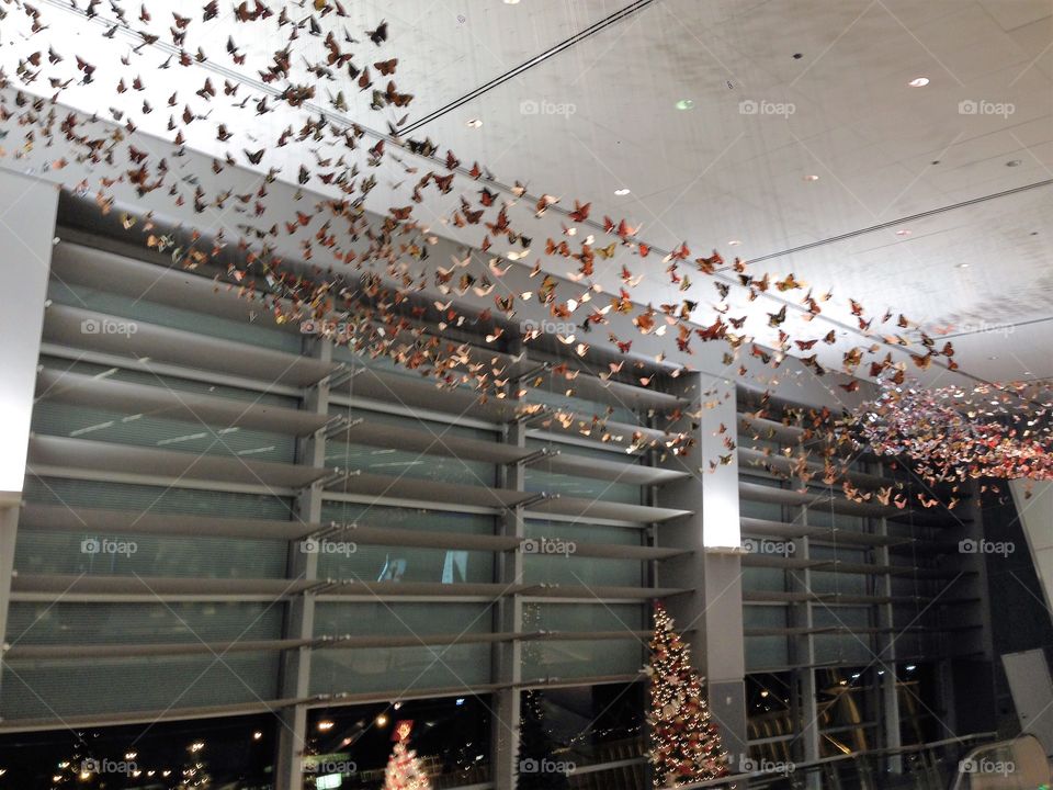 Butterfly art installation