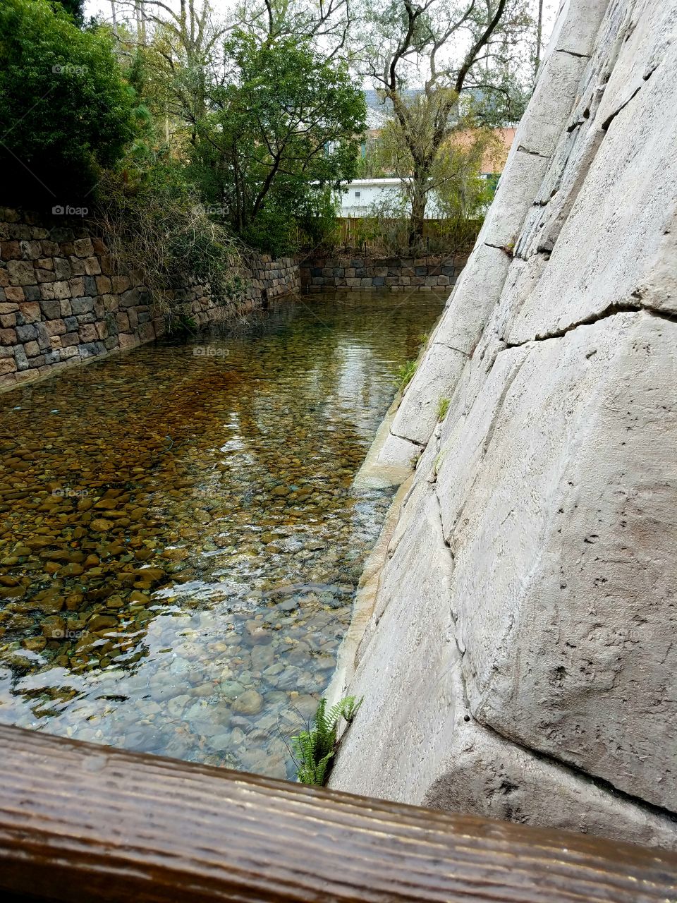 Water, Nature, No Person, Wood, River