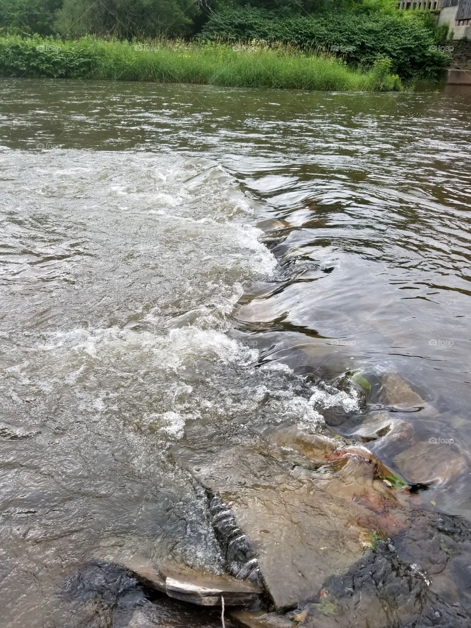 Water, River, Nature, Stream, No Person