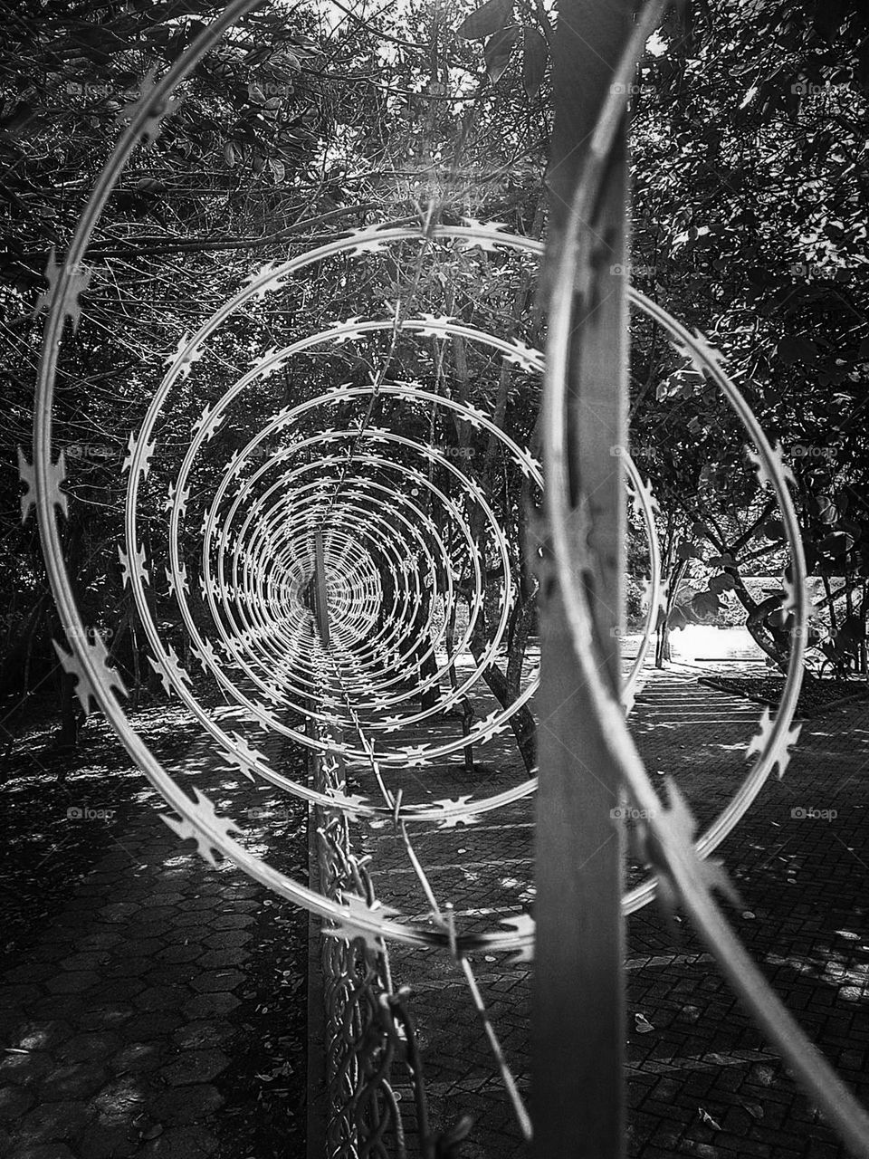 Multiverse: B&W Photo of Wire Fence