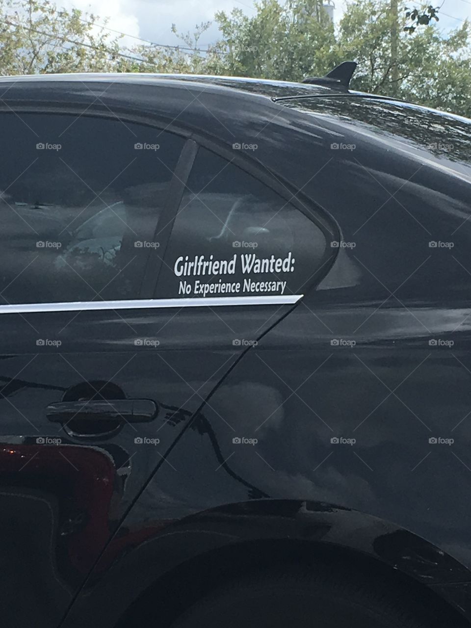 Girlfriend wanted.  No experience necessary.