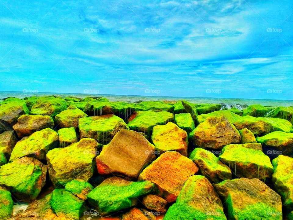 Beauty at the beach in Sri Lanka