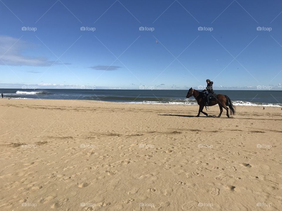 Tourist takes horse back riding lessons on Virginia beach