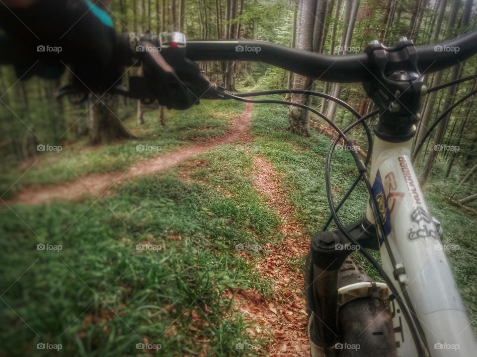 Brasov, Romania. Mountain biking in green forest