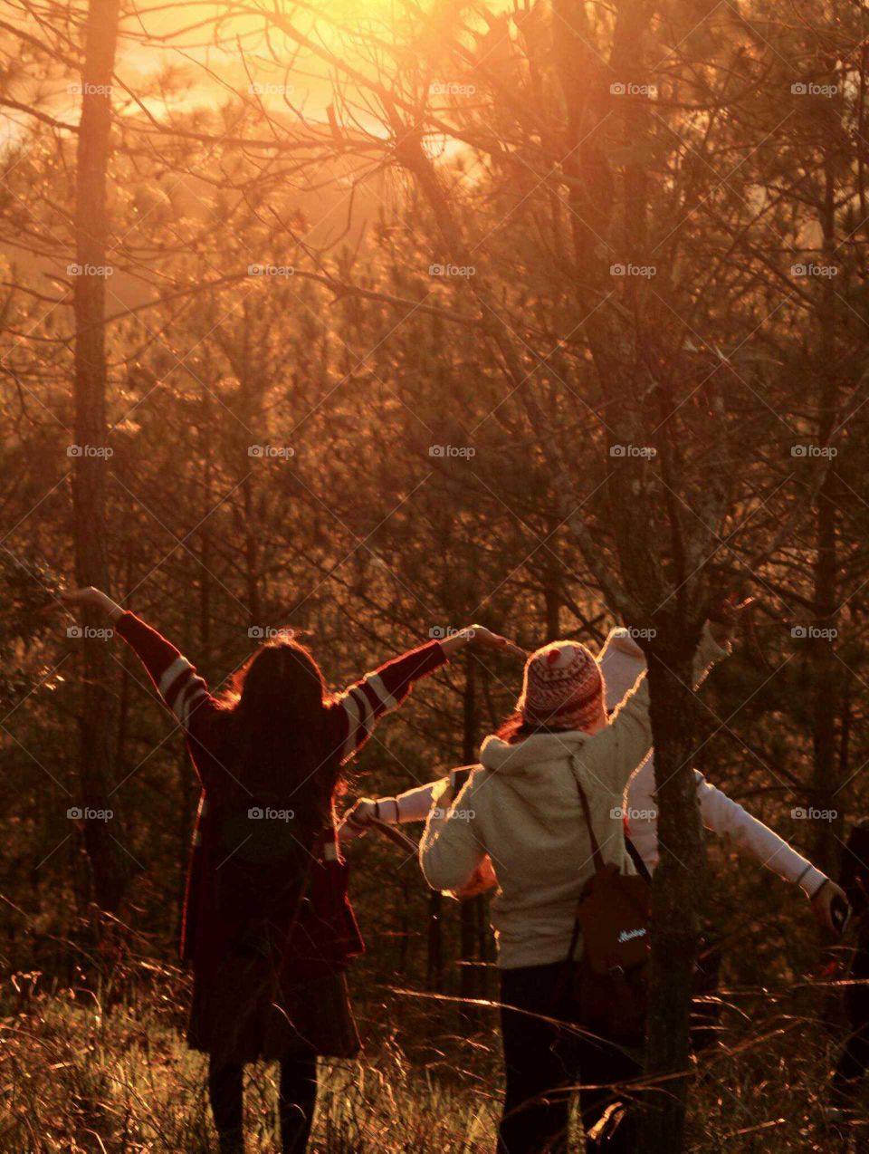 sunshine in december