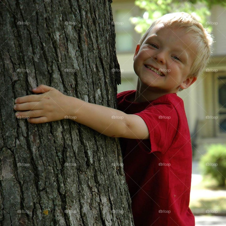 Tree Climber