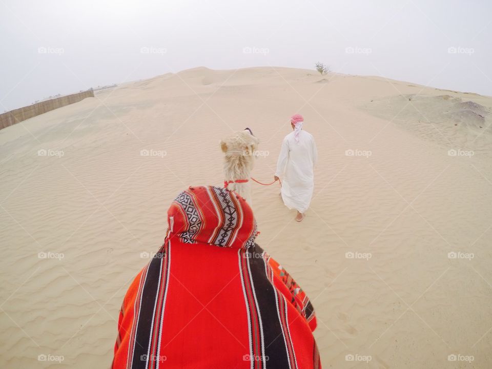 Camel top view