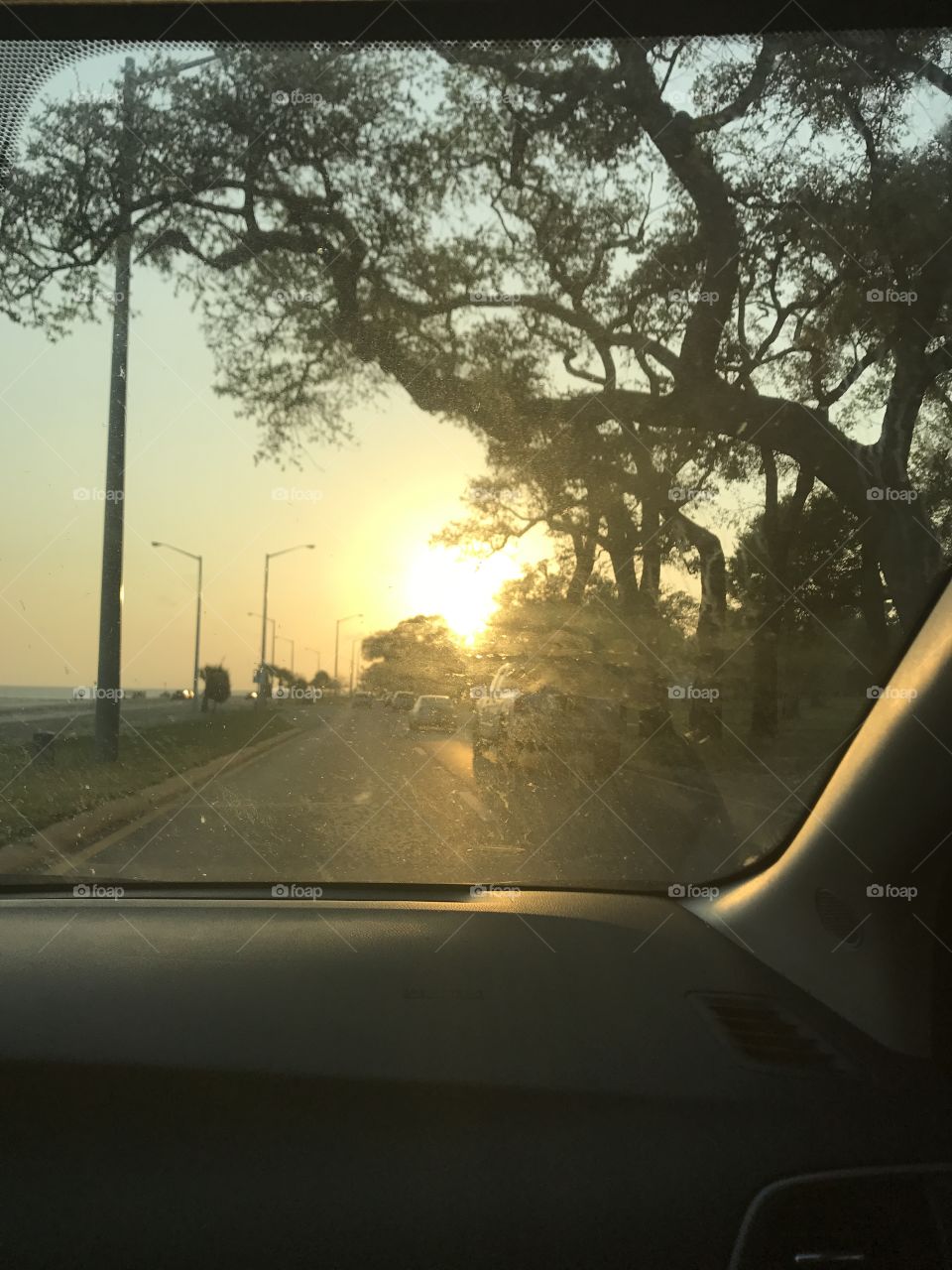 Driving into the sun