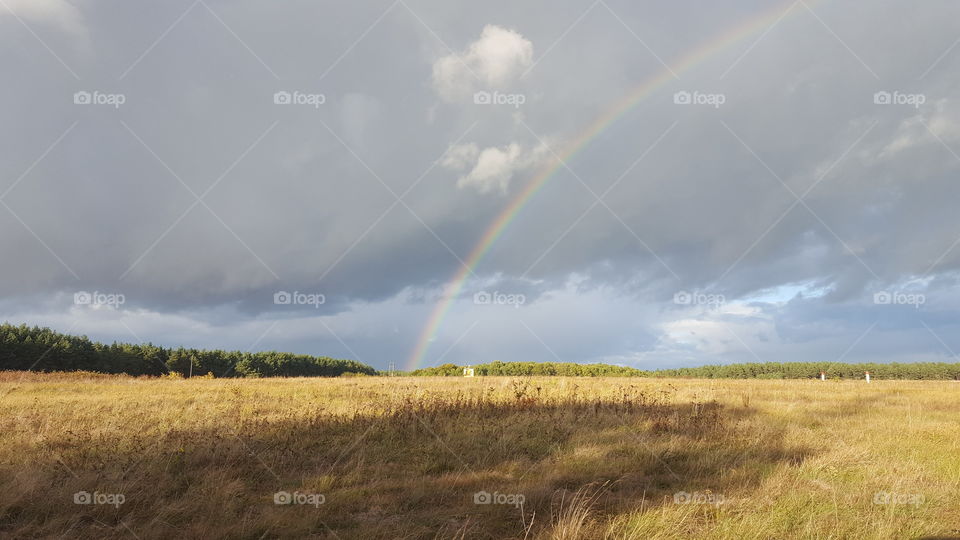 Polish Rainbow