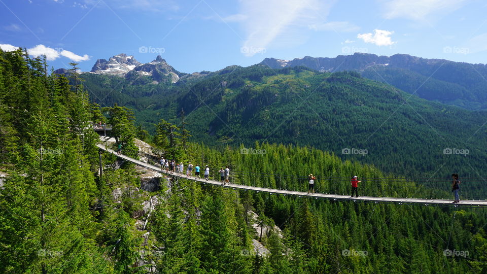 Sky Pilot Suspension Bridge