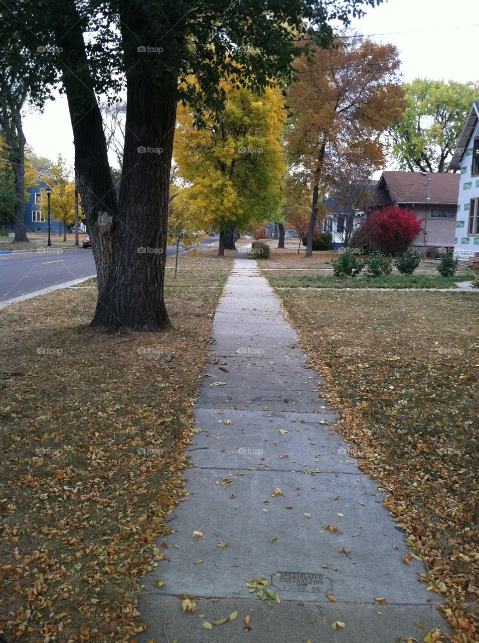 Sidewalk in a neighborhood on a nice, colorful autumn day