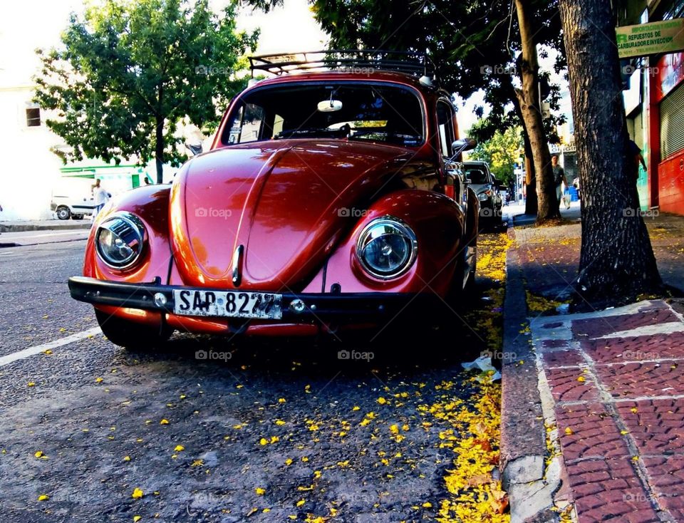 Volkswagen Escarabajo 🚗