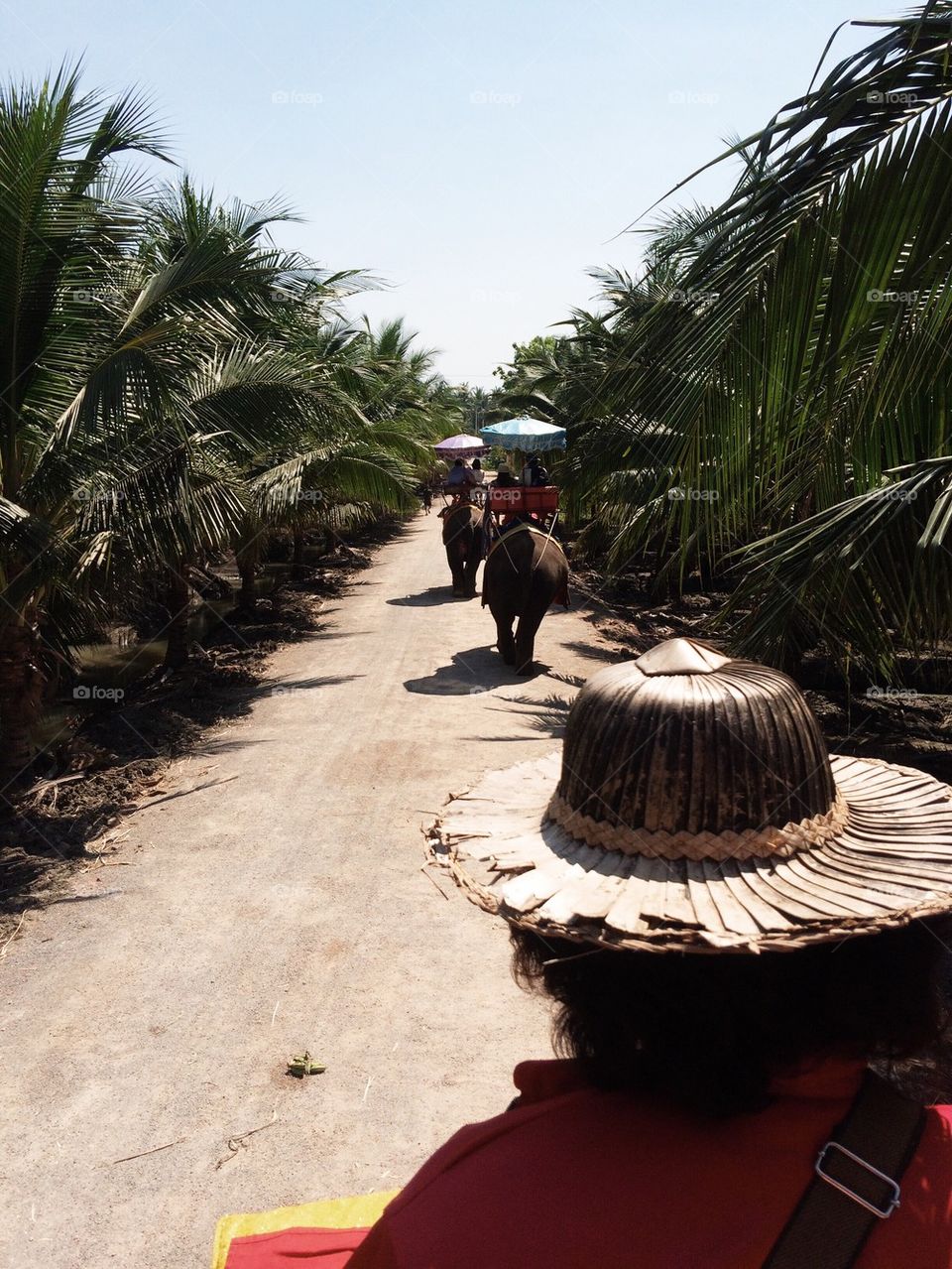 Spring fun in thailand