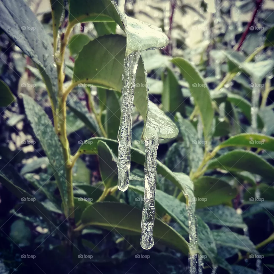 cold day