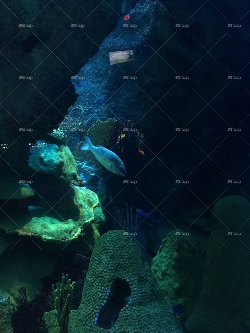 New England Aquarium 