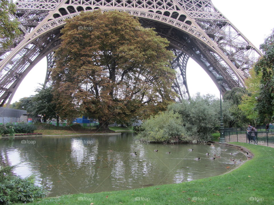 Eiffel Tower Pond