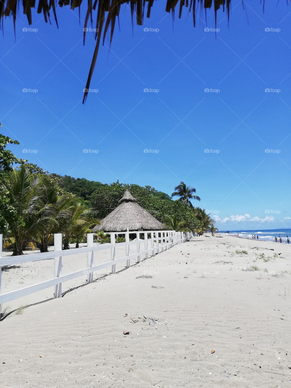 Santa Cruz, Tela Honduras