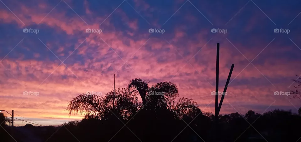 🌇