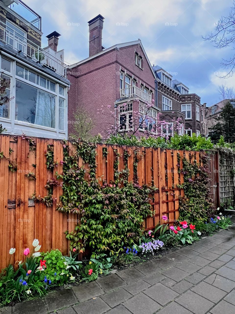 Urban city life: perspective view of the street with wooden fence with different plants and flowers close to it