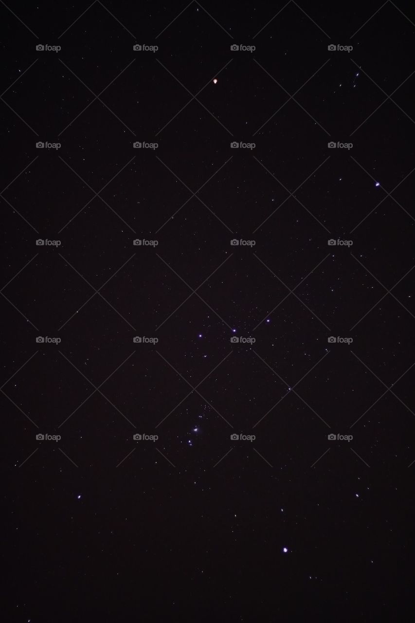 Orion