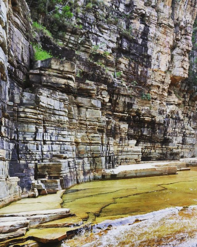 yellow water