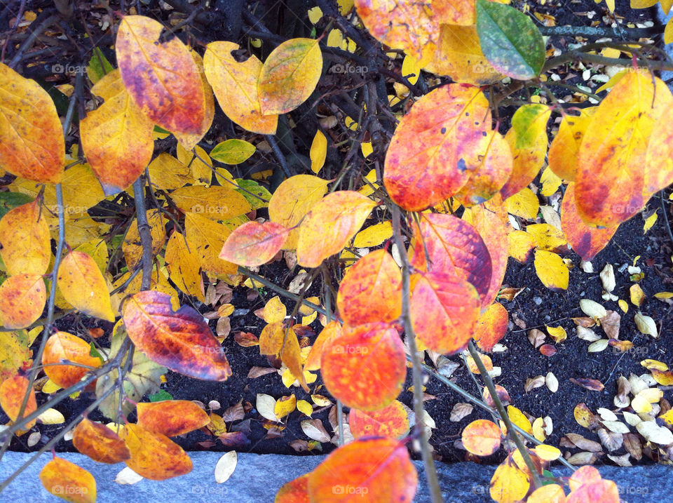 malmö sweden autumn höst by ingrid13