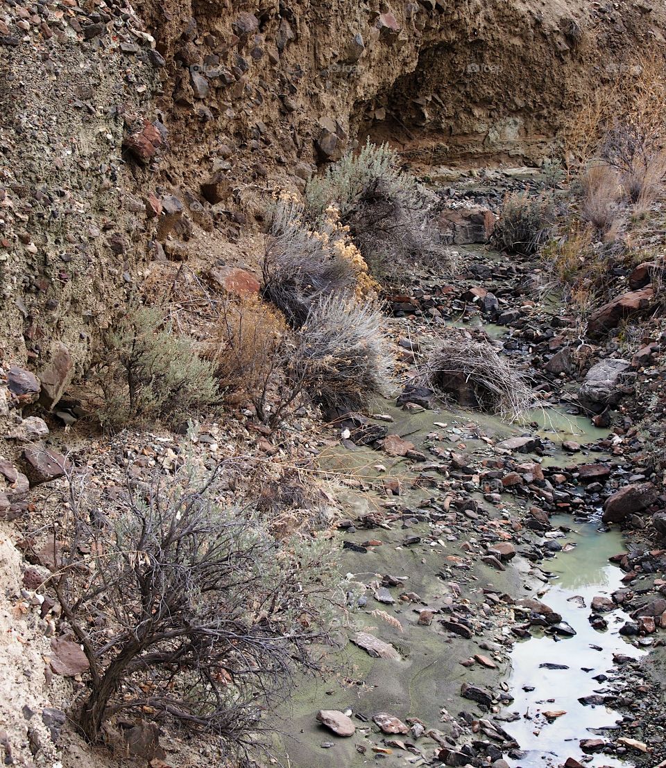 A small creek with waters turned green and gray from the unique geology of Eastern Oregon flows through a small canyon on a winter day. 
