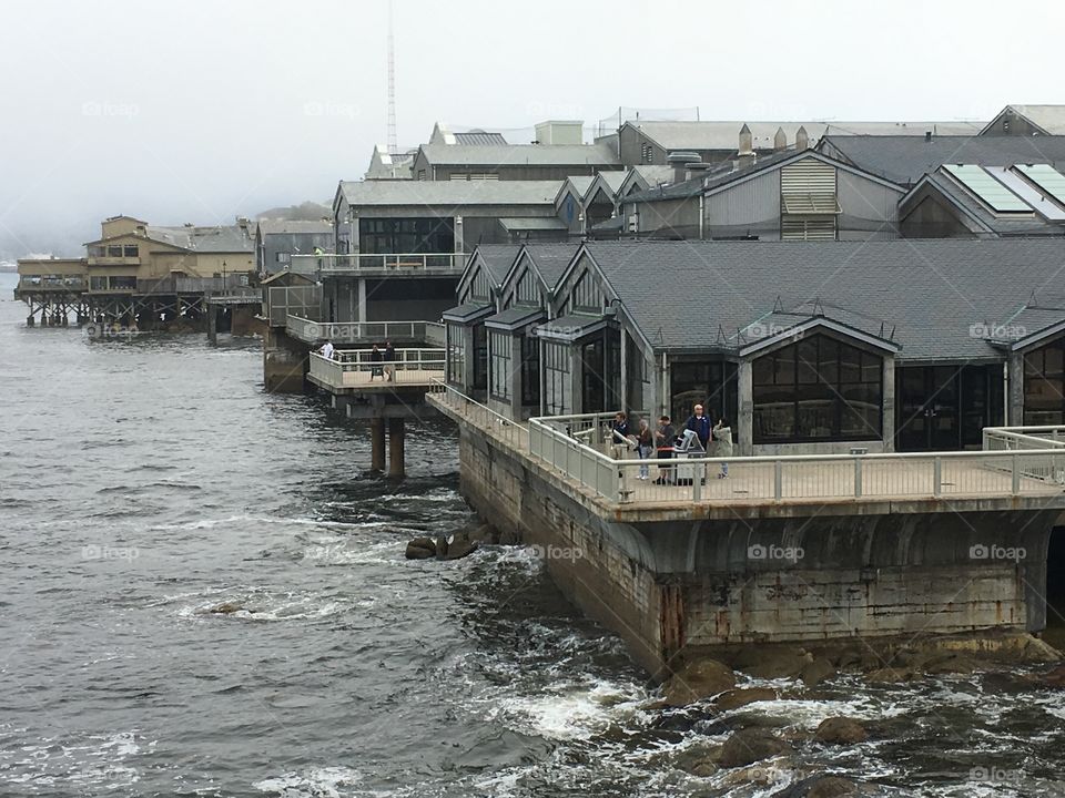 Monterey bay aquarium 