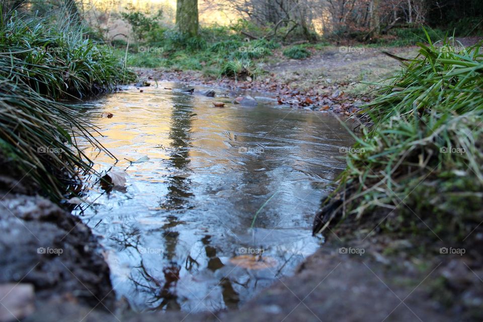 Close-up of a flowing stream