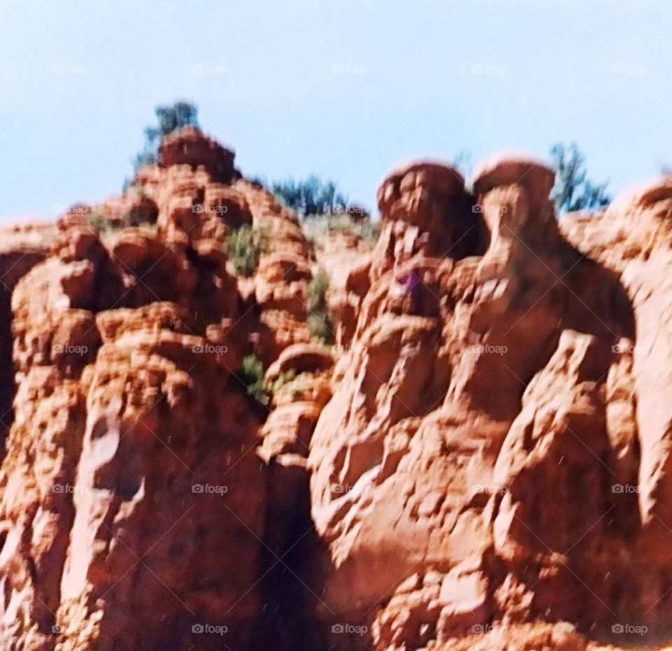 Praying Monks