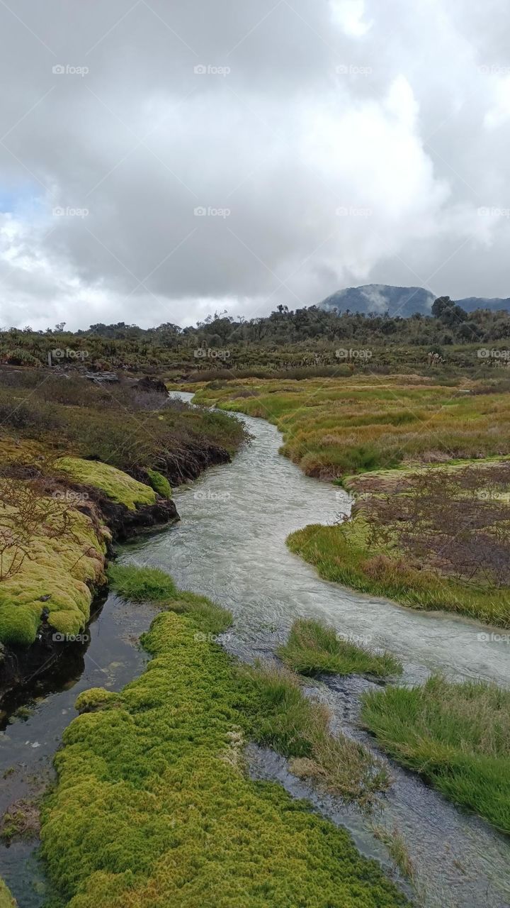 termales san juan purace