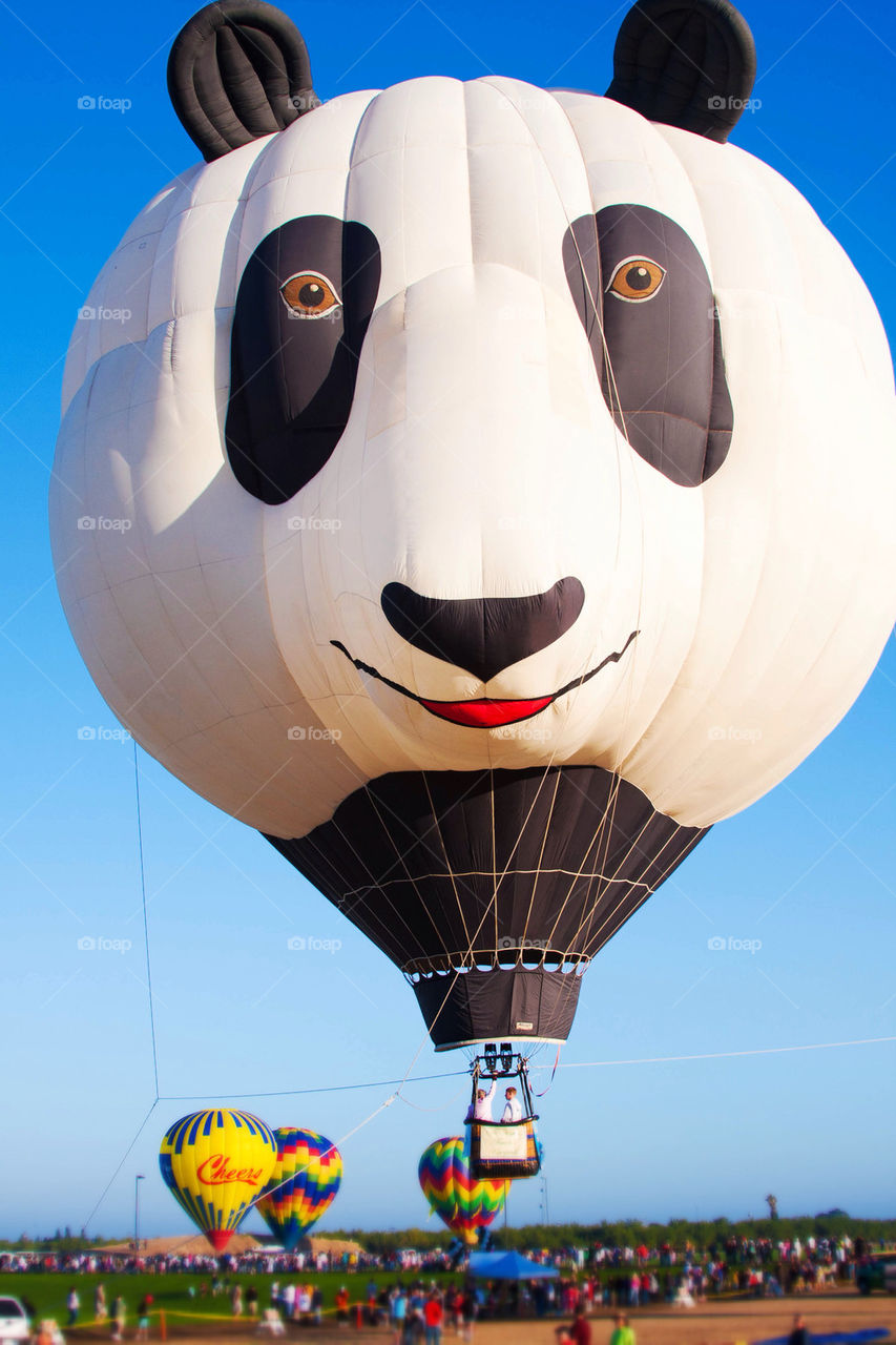 Panda hot air balloon