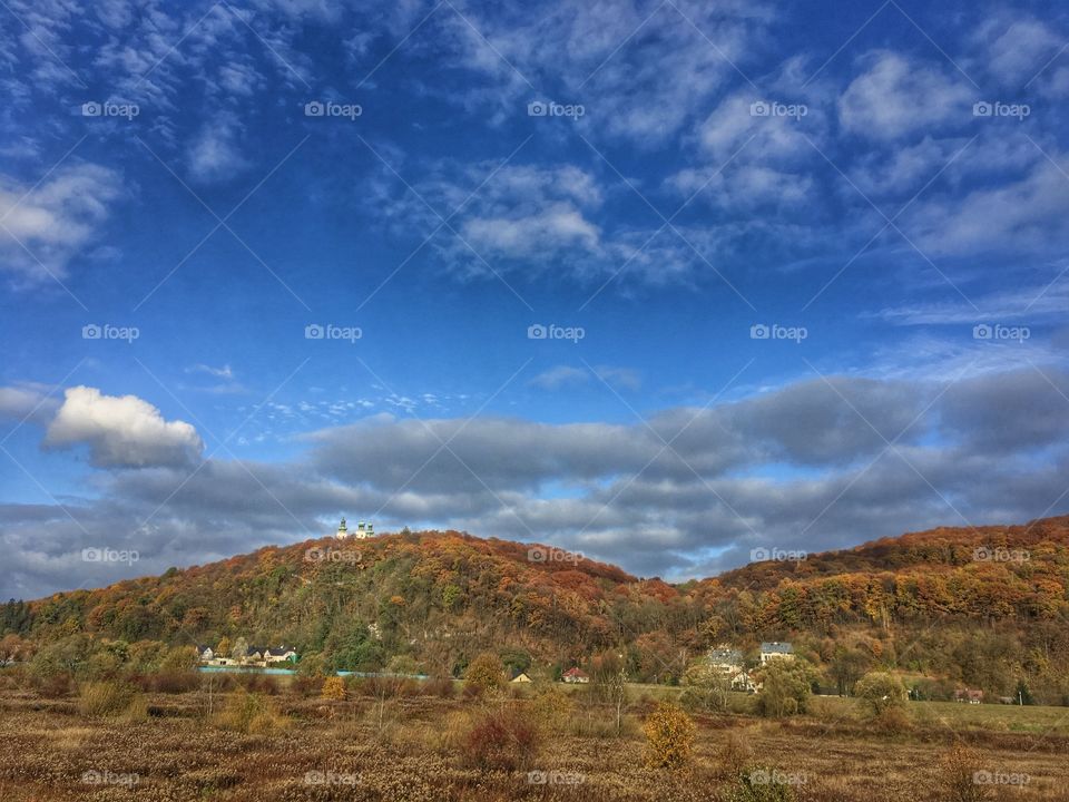 Forrest & the sky